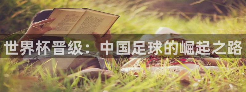 2026年世界杯赛程:世界杯晋级:中国足球的崛起之路