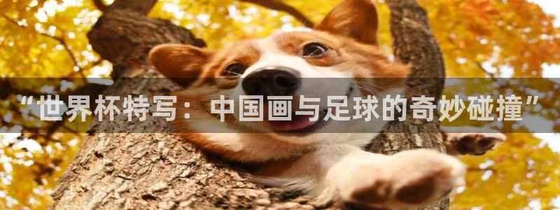 世界杯赛程表2026:“世界杯特写:中国画与足球的奇妙碰撞”