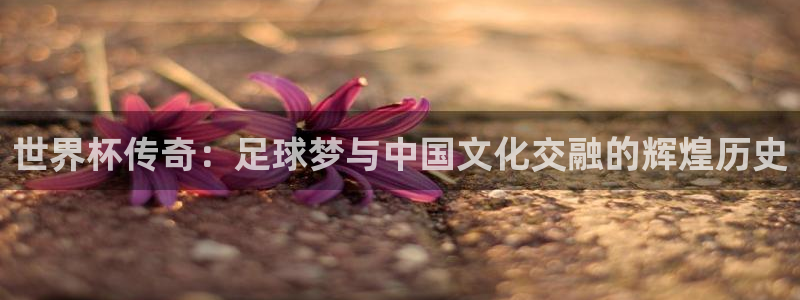 国际足联世界杯:世界杯传奇:足球梦与中国文化交融的辉煌历史