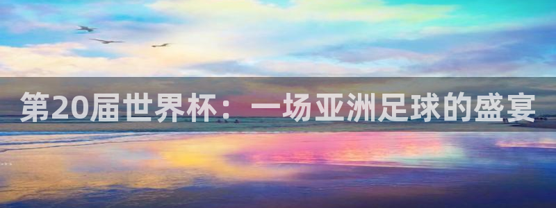 欧洲世界杯预选赛赛程:第20届世界杯:一场亚洲足球的盛宴