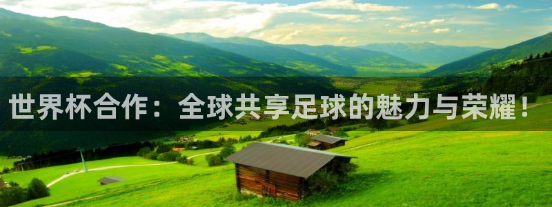 世界杯足球赛:世界杯合作:全球共享足球的魅力与荣耀!