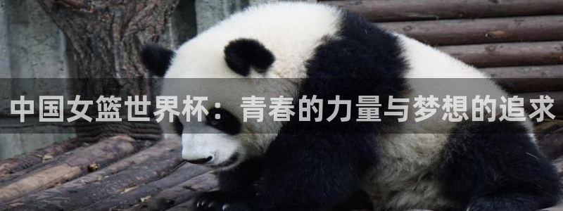 法国杯2026赛程表:中国女篮世界杯:青春的力量与梦想的追求