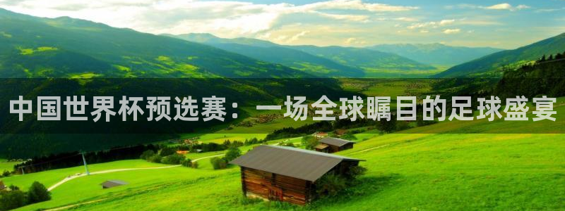 2006年世界杯冠军:中国世界杯预选赛:一场全球瞩目的足球盛宴