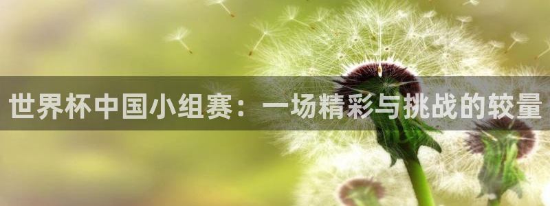 男足世界杯预选赛赛程:世界杯中国小组赛:一场精彩与挑战的较量