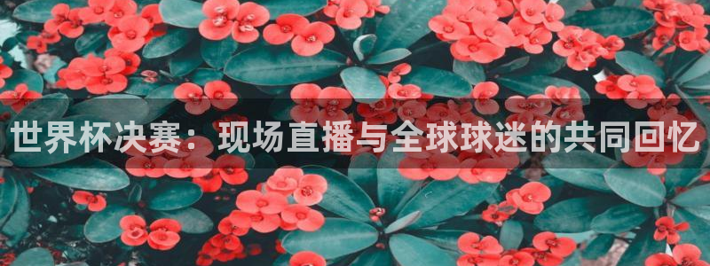 世界杯预选赛亚洲:世界杯决赛:现场直播与全球球迷的共同回忆